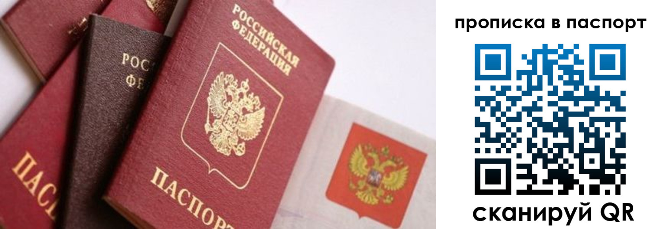 прописка штамп в Сосновоборске